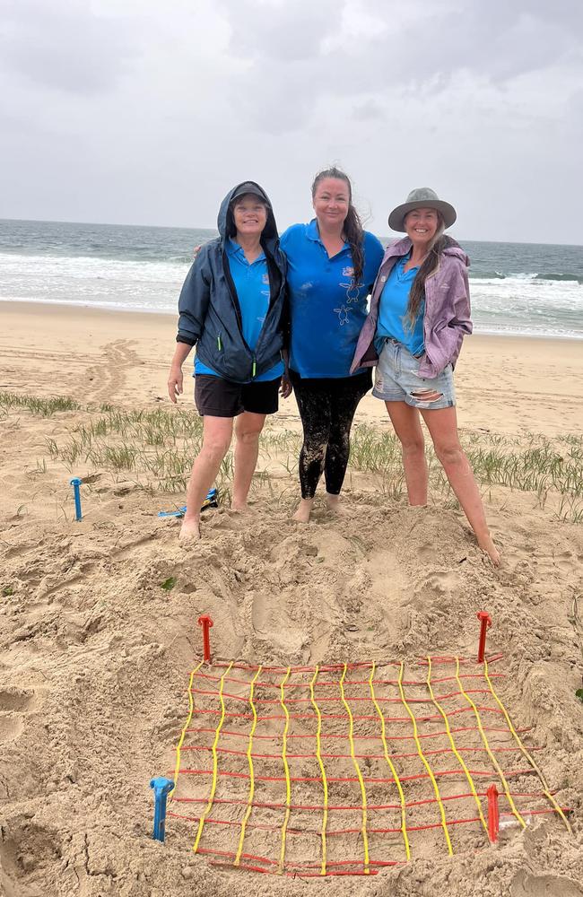 Coolum and North Shore Coast Care members Sheryl Wright, Tash Cassidy, and Dani Tippo with the first turtle nest spotted for the season. Picture: Coolum and North Shore Coast Care