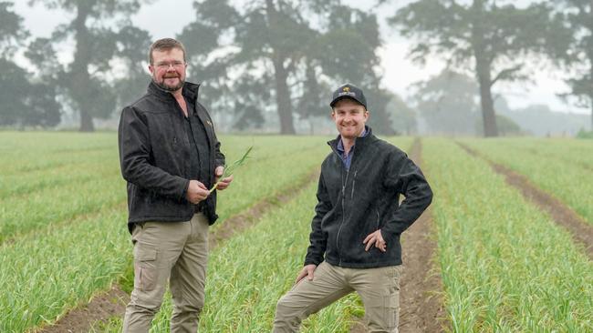 Grange Garlic Director Wayne Schild and son Daniel Schild on their Hamilton property. Picture: Karla Northcott.