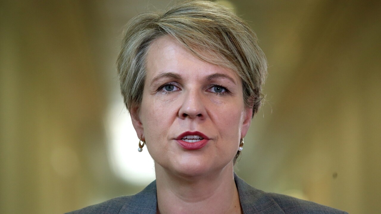 Tanya Plibersek campaigns alongside Albanese