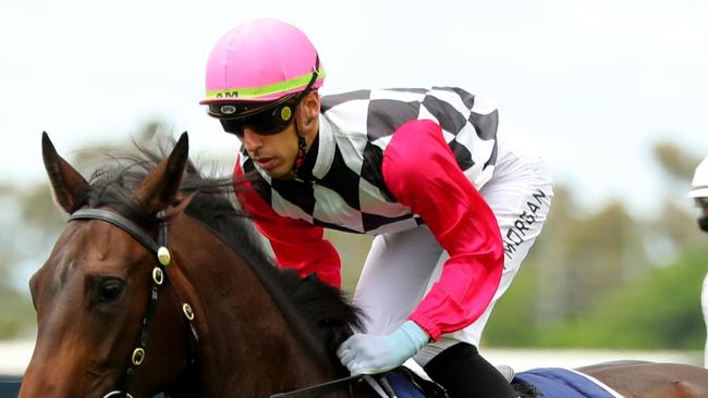 Ashley Morgan rides Supertrail at Tamworth. Picture: Getty Images