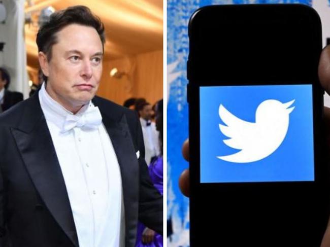 ’Deal on hold’: Musk’s sends Twitter spiralling
