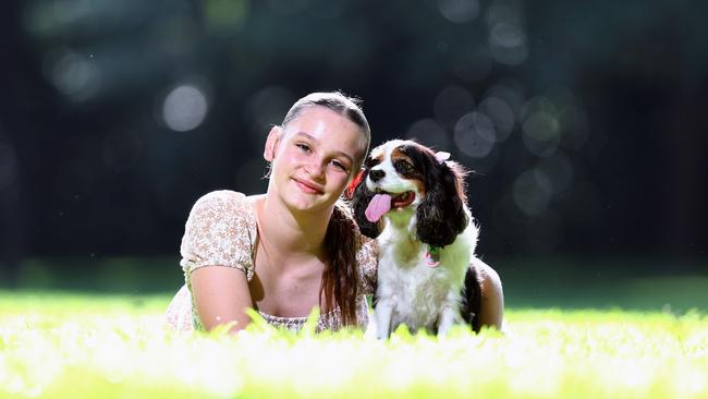 King Charles Cavalier Rosie has been voted Far North Queensland's cutest dog by Cairns Post readers. Rosie gets some love from her owner, 11 year old Ruby Campbell. Picture: Brendan Radke