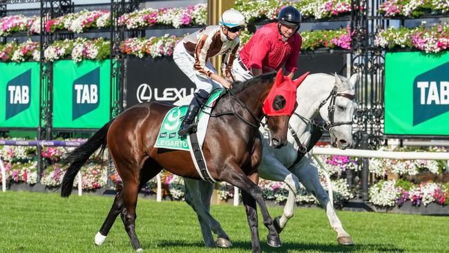 Legarto is among the nominations for the Cox Plate. Picture: George Sal / Racing Photos