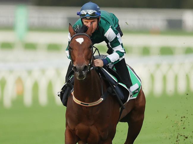 SYDNEY, AUSTRALIA - APRIL 09: Tommy Berry rides Place Du Carrousel during TAB Trackwork with the Stars at Royal Randwick Racecourse on April 09, 2024 in Sydney, Australia. (Photo by Mark Metcalfe/Getty Images)