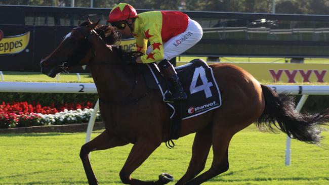 California Surreal looks hard to beat at Hawkesbury on Tuesday. Picture: Grant Guy