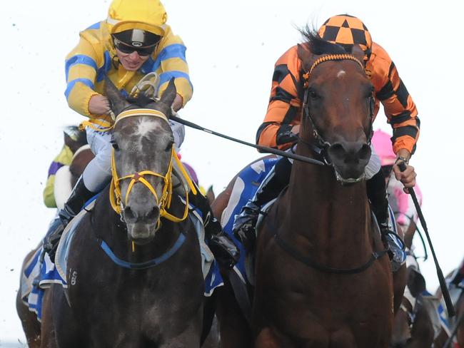 Col 'N' Lil (left) gets the job done at Doomben. Picture: Grant Peters, Trackside Photography