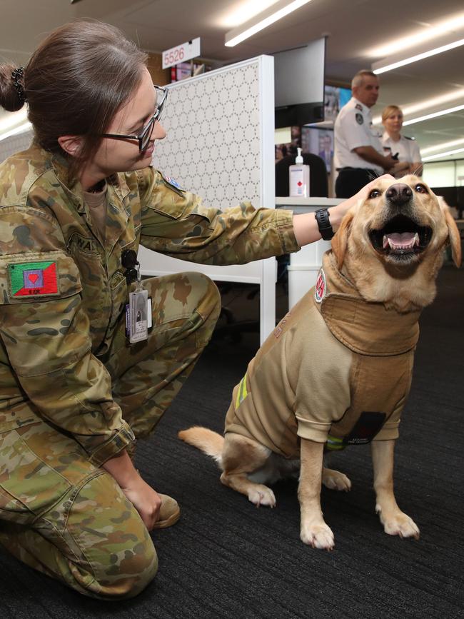 Ember gets a pat from Australian Army Lieutenant Emma Watson. Picture: David Swift