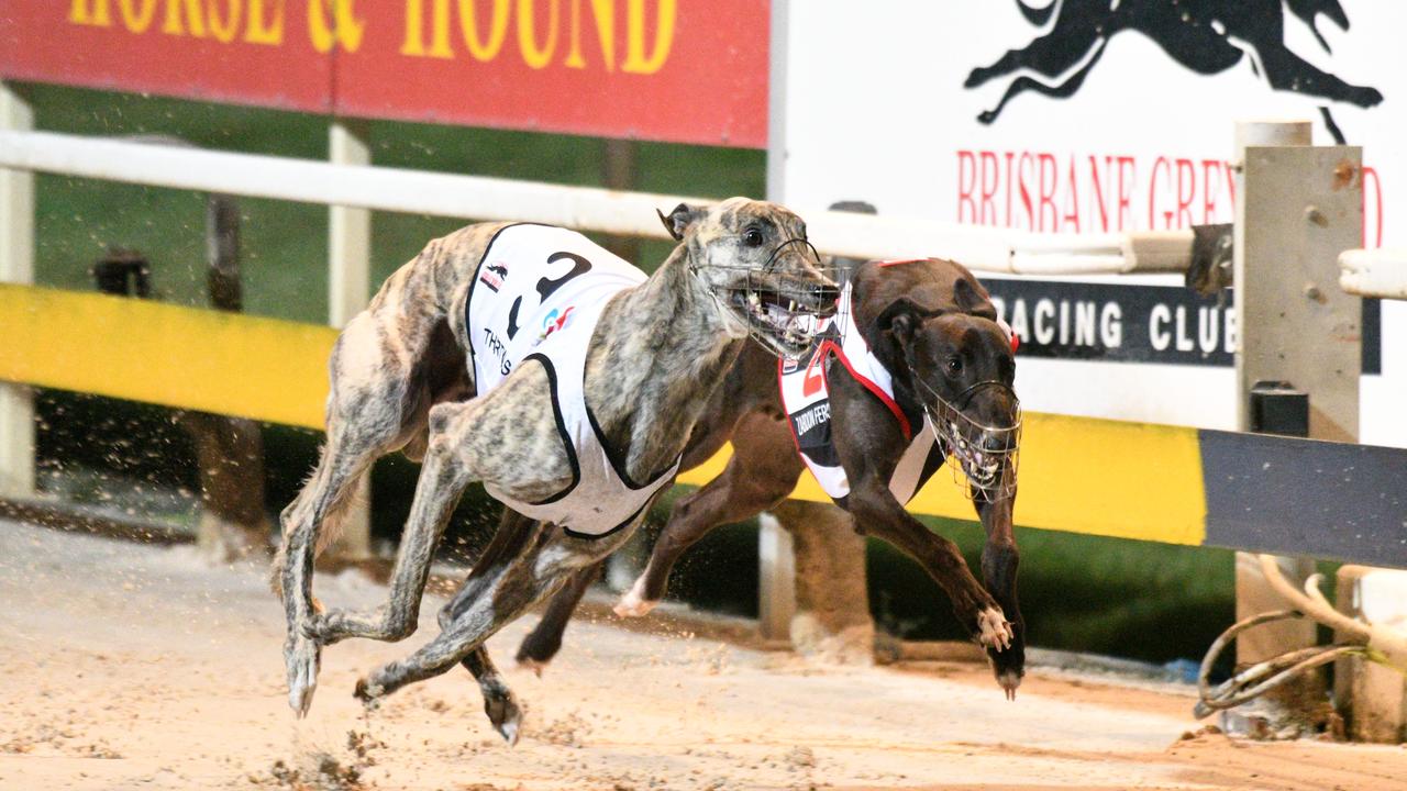 Thirty Talks (outside) wins at Albion Park.