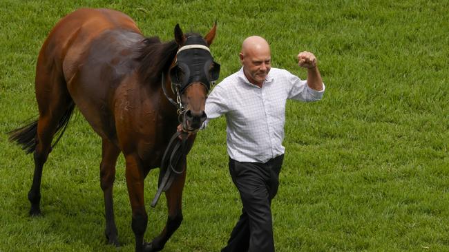 Horse Trainer Wayne Seelin pleaded guilty to mid range drink driving. (Photo by Jenny Evans/Getty Images)