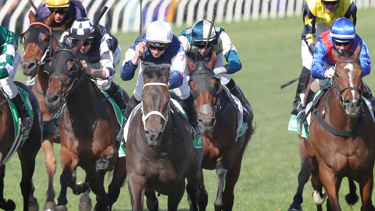 Racing Victoria announces spring carnival schedule for 2024 Geelong