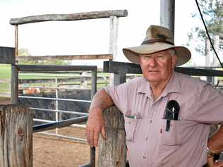 DISGUSTED: Cattle agent Bill Hallas is upset and appalled by the recent farm protests by animal activists. Picture: Meg Bolton