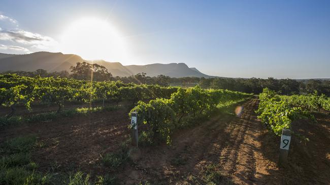 Sun setting over Tyrrell's Wines vineyard in Pokolbin, The Hunter Valley. Picture: Destination NSW/MJK Creative Little Black Book, Escape, story by Paul Ewart