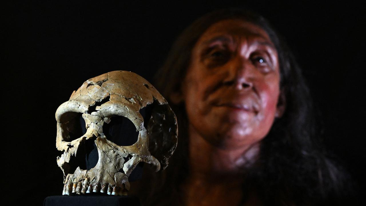 A picture shows the rebuilt skull and a physical reconstruction of the face and head, of a 75,000-year-old Neanderthal woman, named Shanidar Z, after the cave in Iraqi Kurdistan where her skull was found in 2018, at the University of Cambridge. (Photo by Justin TALLIS / AFP)