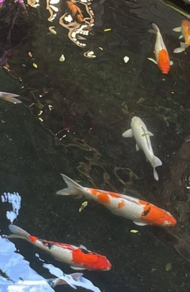 One of the last photos shared to one of Byron Haddow’s social media accounts.