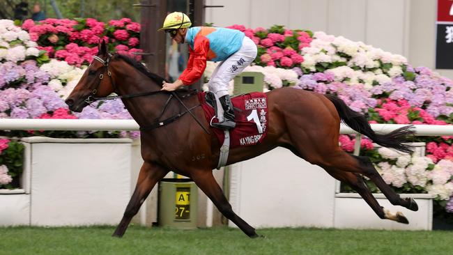 Ka Ying Rising strolls to victory in the Chairman’s Sprint at Sha Tin in April.