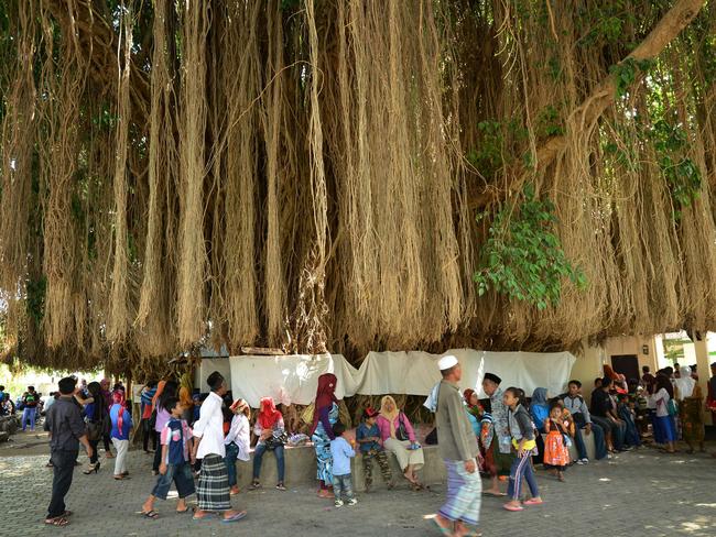 Pilgrims gather around a huge tree at a historic Islamic shrine in Loang Baloq on the island of Lombok. AFP PHOTO / SONNY TUMBELAKA