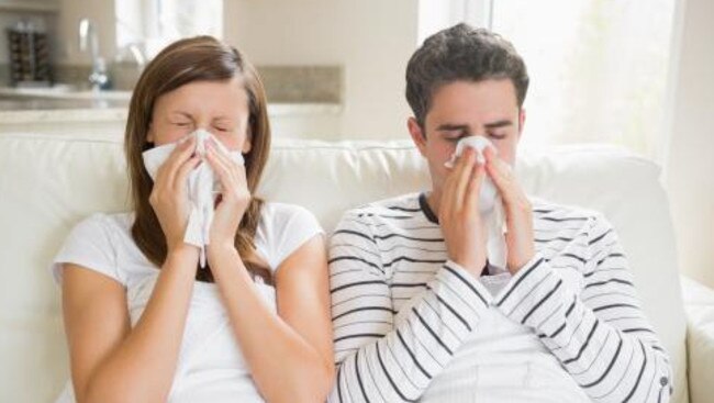 Summer flu notifications have reached a six-year high in South Australia.