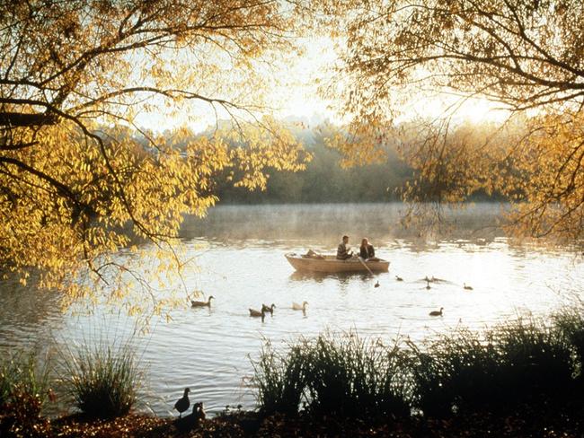 A postcard-perfect autumn scene at Lake Daylesford