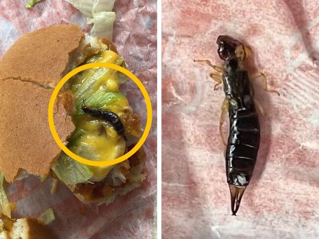 Full insect found after biting into Hungry Jack’s burger