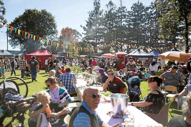 DAY OUT: The first Ipswich Street Food, Beer and Music Festival will be held in September.