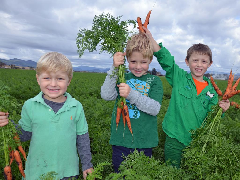 &lt;h2&gt;Winter Harvest Festival&lt;/h2&gt;Griff and Harry Windley with James Gorman practise picking carrots ahead of the Scenic Rim’s Winter Harvest Festival on Saturday. TV chef Alastair McLeod will be there, starting at the Kalfresh Carrot Field Day at Kalbar from 8.30am, then heading to the Aratula Community Sports Complex. Sample produce grown across the rim. &lt;b&gt;&lt;a href="http://www.eatlocalweek.com.au/winter-harvest-festival/" title="www.eatlocalweek.com.au"&gt;More details&lt;/a&gt;&lt;/b&gt;