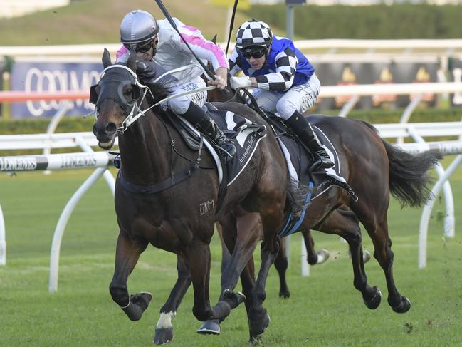 Will history repeat? Destiny's Kiss wins last year’s edition of the McKell Cup.