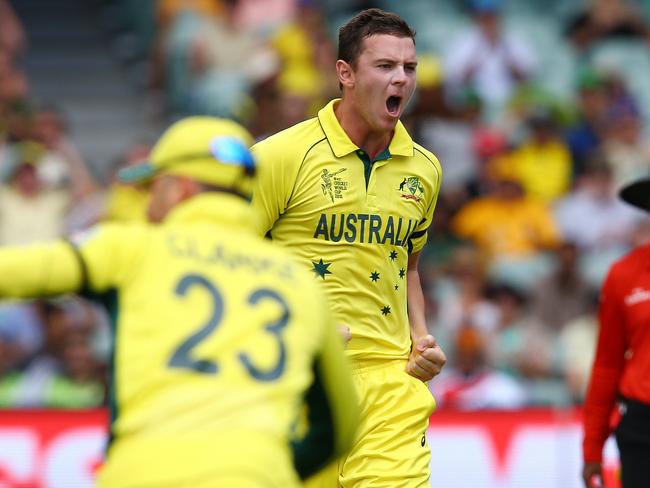 Josh Hazlewood celebrates the wicket of Ahmad Shahzad. Picture: Sarah Reed.