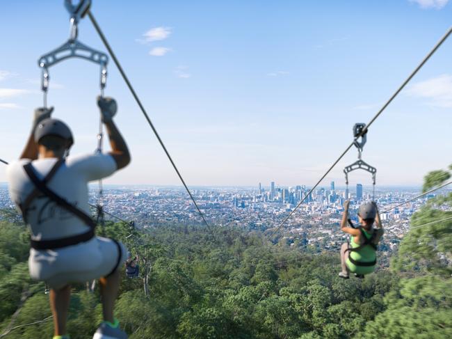 Information sessions on the proposed Mt Coot-tha zipline will be held this week.