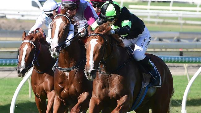 Gotta Kiss (right) gets her chance to win a good race. Picture: Trackside Photography