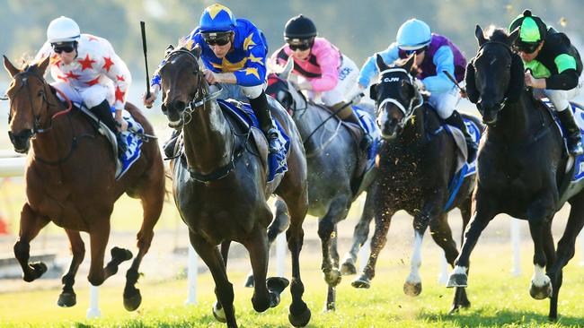 Coonabarabran Cup: Topmast could become local hero | Daily Telegraph