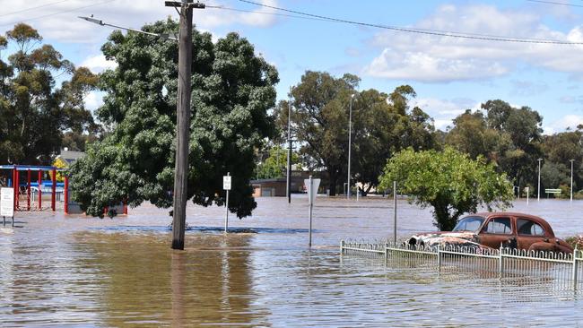 Flood scenes in Forbes today. 17.11.2022   Forbes Shire Council1 h  · Grenfell Street looking towards a sodden Ninja Park. 17 November 2022.