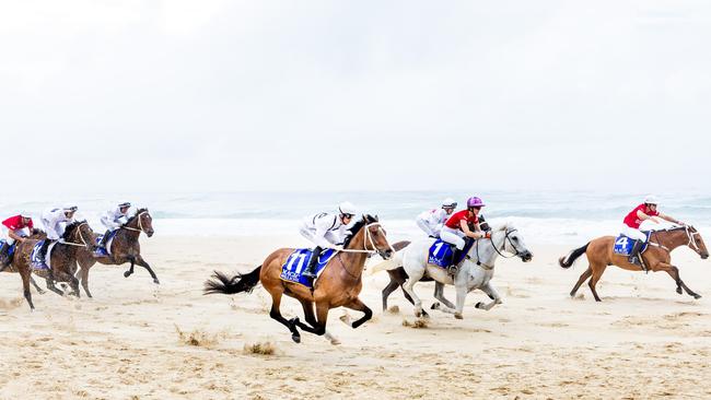 The Magic Millions horse race on Surfers Paradise beach is on again from 6am on Tuesday morning, January 7.