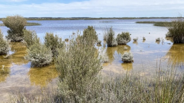 Lake Hawdon North. Picture: Ben Taylor