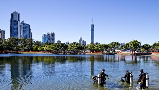 Gold Coast Council bought in Sea World divers to go hunting for a stonefish. Picture: Jerad Williams