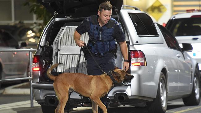 A police dog outside the Parkville Youth Justice Precint. Picture: Tony Gough