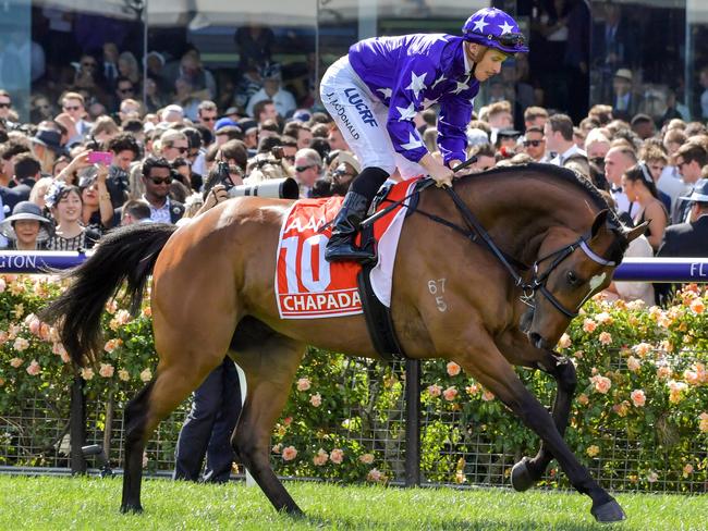 Chapada ridden by James McDonald heads to the barrier before the AAMI Victoria Derby at Flemington. Picture: John Donegan/Racing Photos