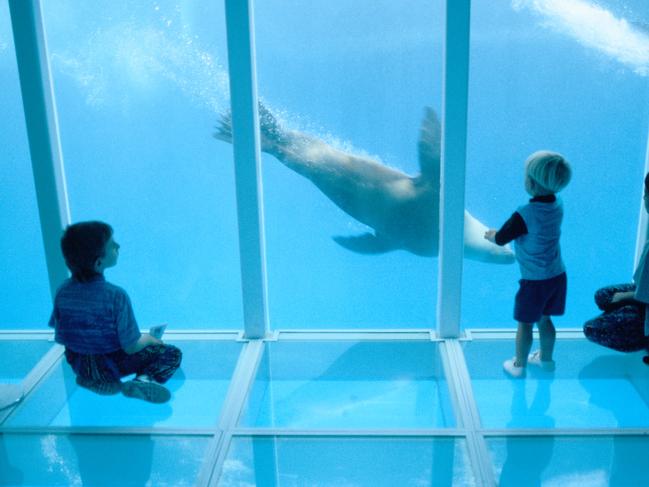 Sea Life Sydney - 30 years of history: Sea Life Sydney Aquarium is celebrating 30 fin-tastic years of fun, conservation and magical underwater memories since it first opened its doors in 1988. Picture: Supplied