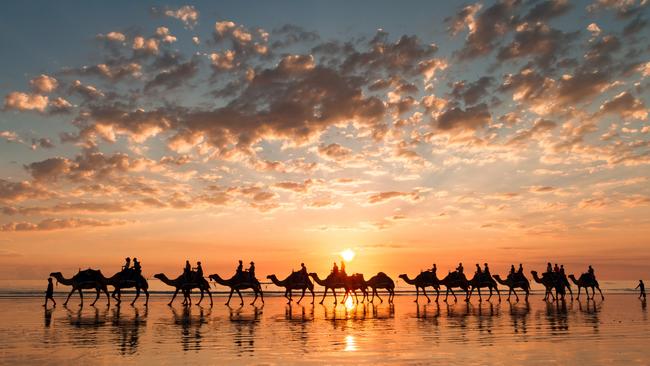 Sunset camel ride on Cable Beach, Broome.