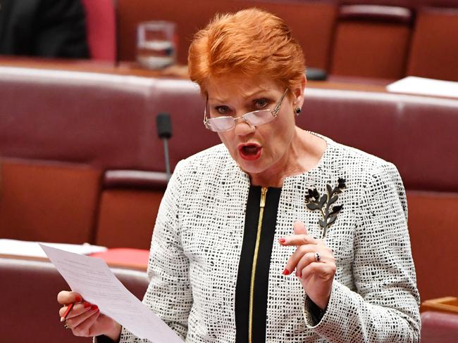 One Nation has withdrawn its support for corporate tax cuts. Photo: AAP.