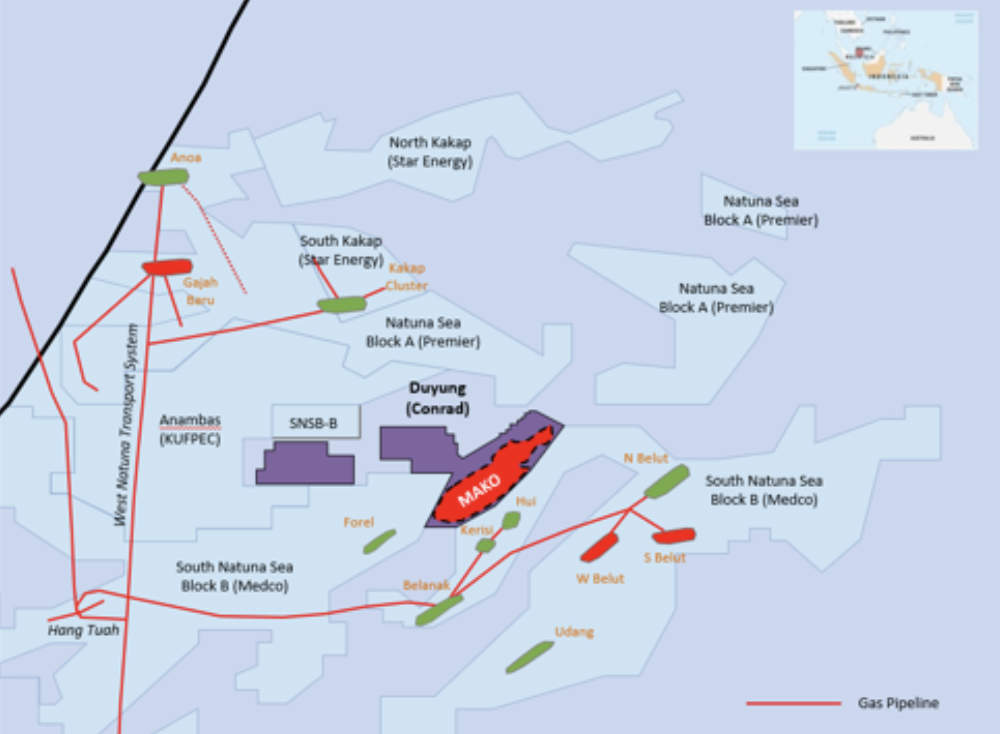 The Mako gas field within the Duyung PSC. Pic: Conrad Asia Energy