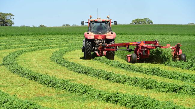 Strong winter cropping is driving job opportunities. Picture: Zoe Phillips