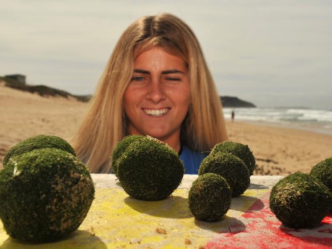 Surfer Sophia Bernard of Manly takes a closer look at the unusual visitors. icture: Martin Lange