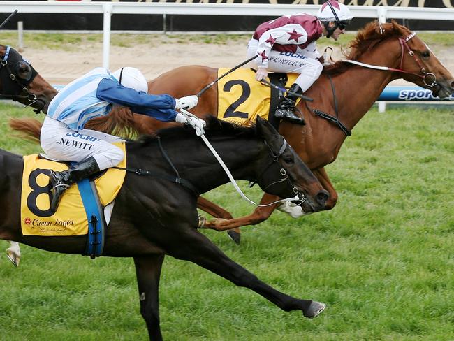 Stratum Star gets the better of Manhattan Avenue at Caulfield last year. Picture: Colleen Petch