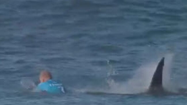 Mick Fanning being attacked by a shark in South Africa.