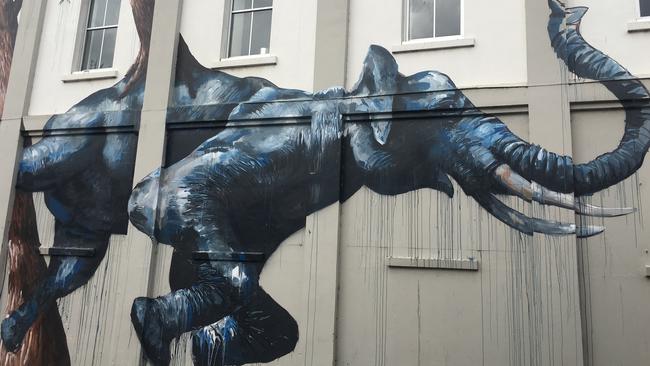 Yep, that’s a gorilla-phant, one of the incredible First Coat murals. Picture: Sally Coates