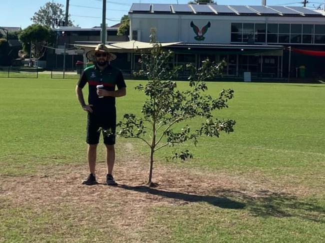 Sandgate Hawks find tree planted in middle of field