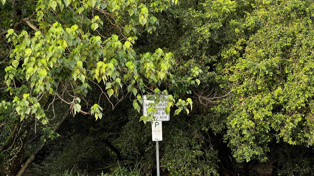 One of the signs warning people that the Nambour carpark is prone to flooding is obscured by leaves.