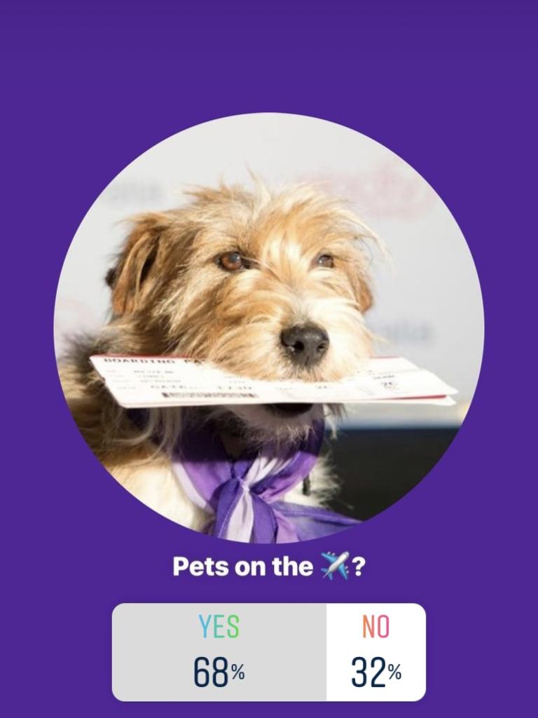 Virgin Australia is polling followers on Instagram about pets on planes.