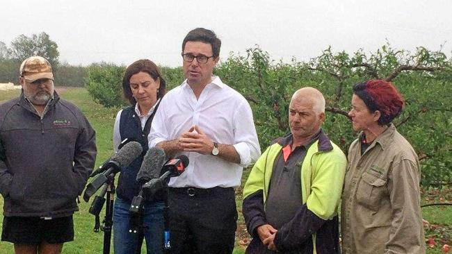 STORM: Agricultural minister David Littleproud and Nanango member Deb Frecklington survey the damage at the Easy 8 Orchards in Kumbia from the severe storm on October 11. Picture: Matt Collins