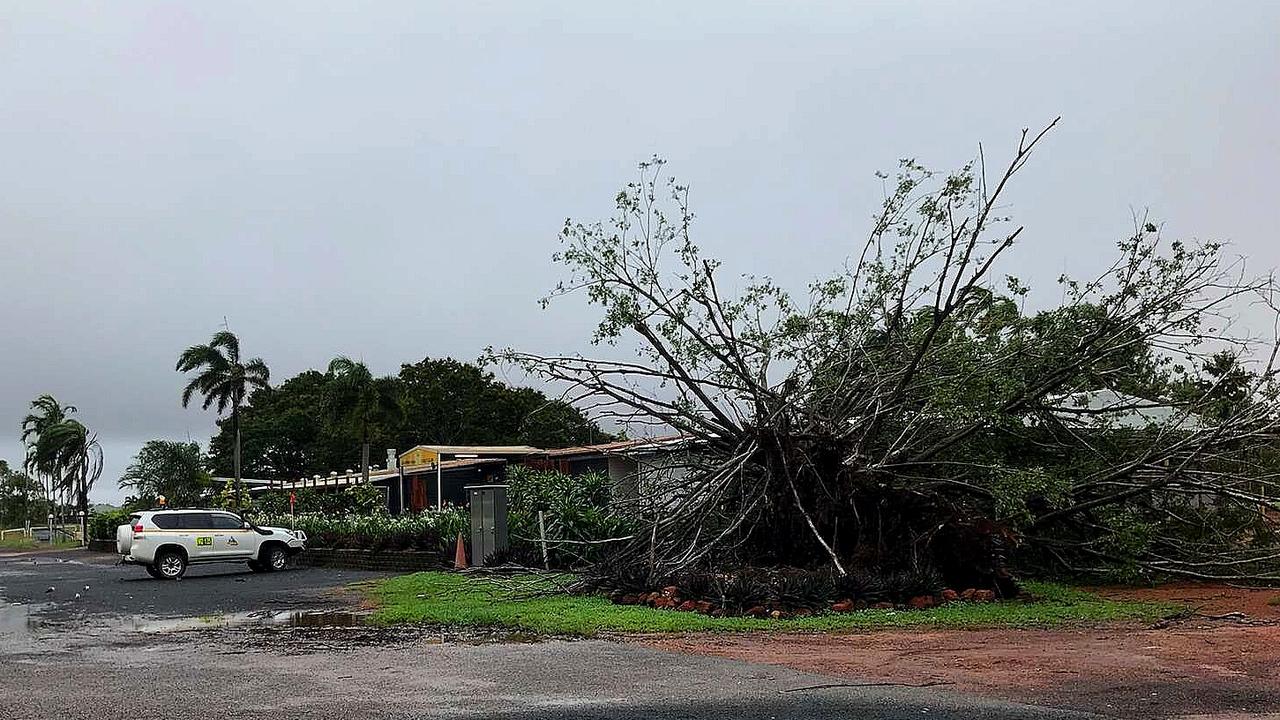 A tree felled by the winds of Tropical Cyclone Penny lies in a Weipa Street. 